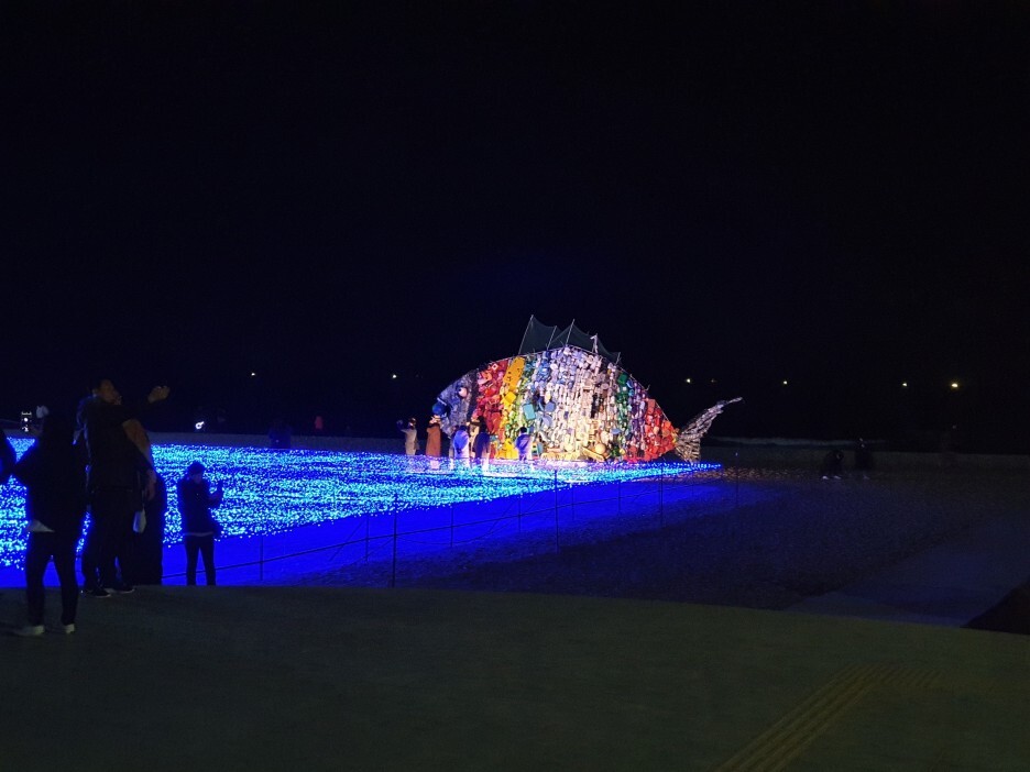 물고기 조명