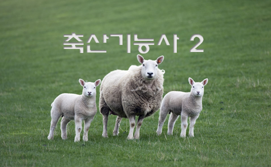  축산기능사 전망과 취업 현실 2(자격시험)