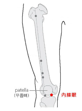 경외기혈(EX) > EX-LE4 내슬안 (內膝眼) 1
