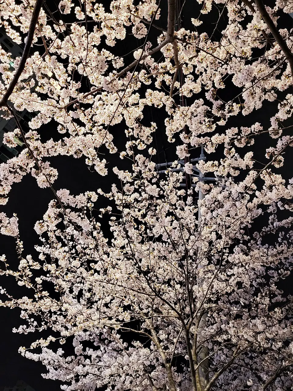 부산