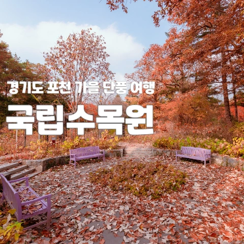  경기도 포천 가을 단풍여행 국립수목원