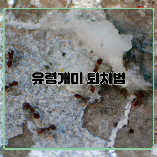 구덩이-소독제-방충망