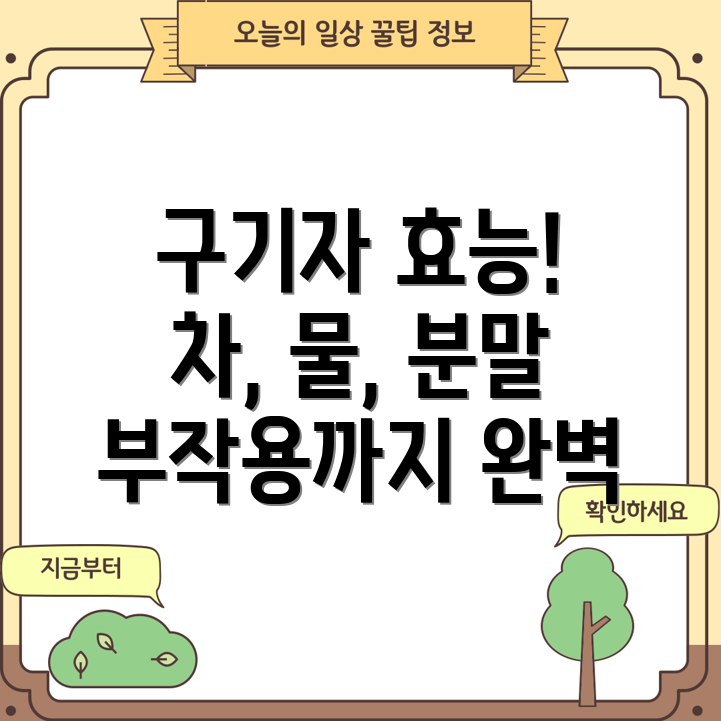 구기자 효능 총정리 차, 물, 분말, 부작용까지 완벽 가이드