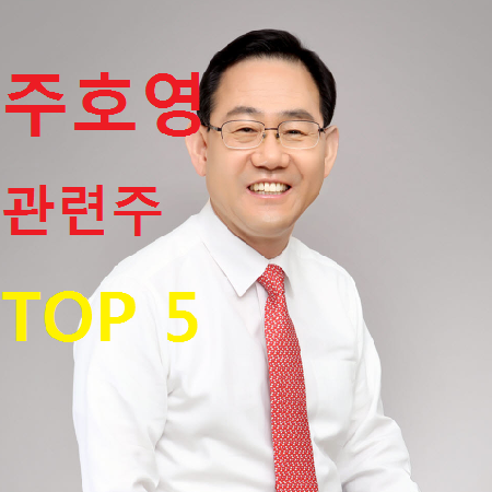  주호영 관련주 테마주 TOP 5 총정리
