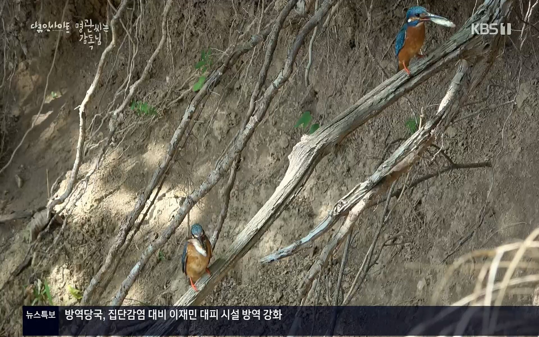 다큐 인사이트.E122.220825p.H264-F1RST.mp4_20220826_152315.244.jpg