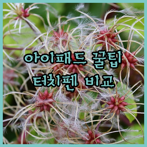 터치펜 하나로 아이패드 활용도 200