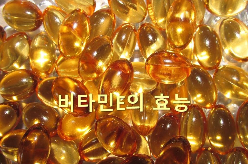  항산화 작용으로 노화 방지에 효과 있는 비타민E가 함유된 음식