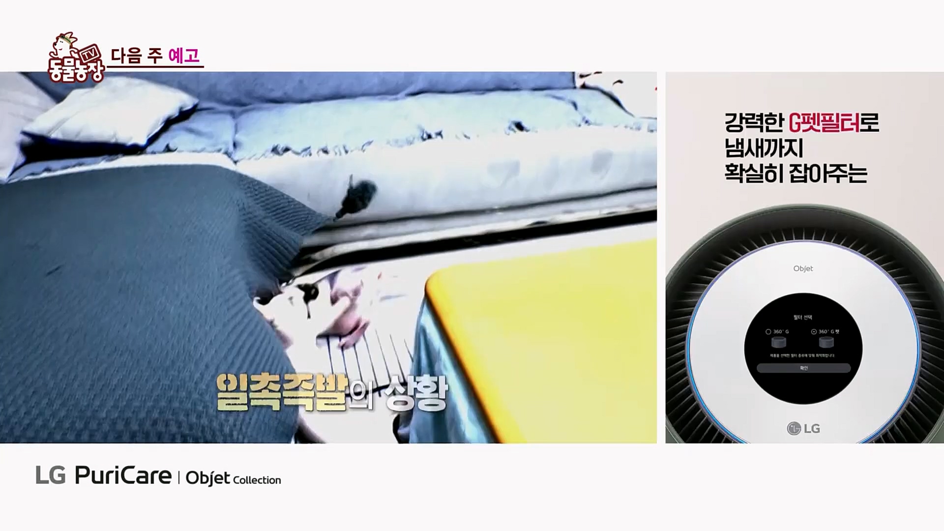 TV 동물농장.E1115.230409p.H264-F1RST.mp4_20230409_173059.836.jpg