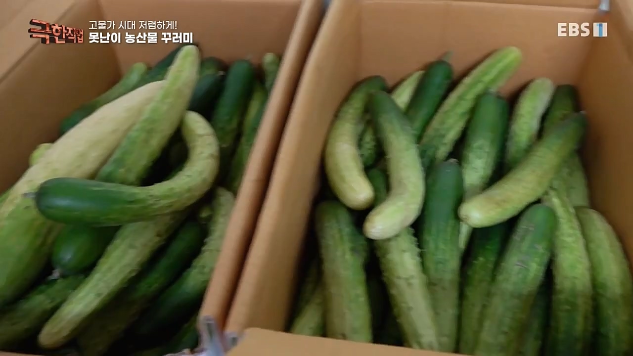 극한직업.E1046.221232p-NEXT.mp4_20230103_200857.118.jpg