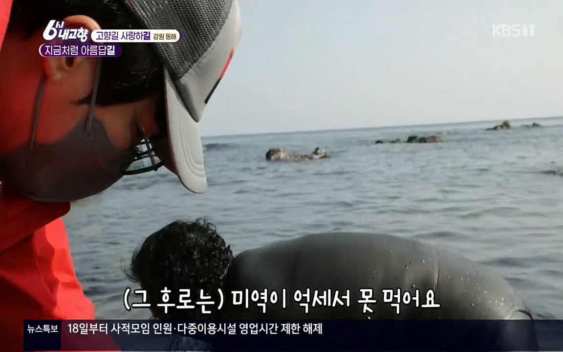 6시 내고향.E7512.220416p.H264-F1RST.mp4_20220502_191927.796.jpg