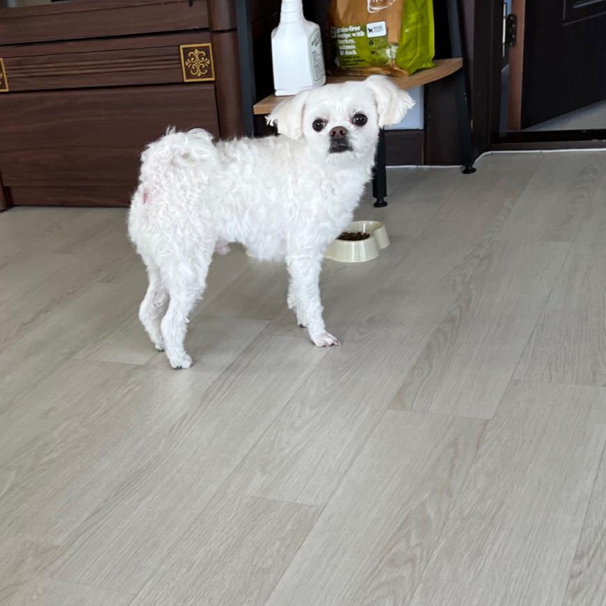 눈물 깔끔한 관리 도전! 3