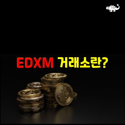 EDXM 거래소란?