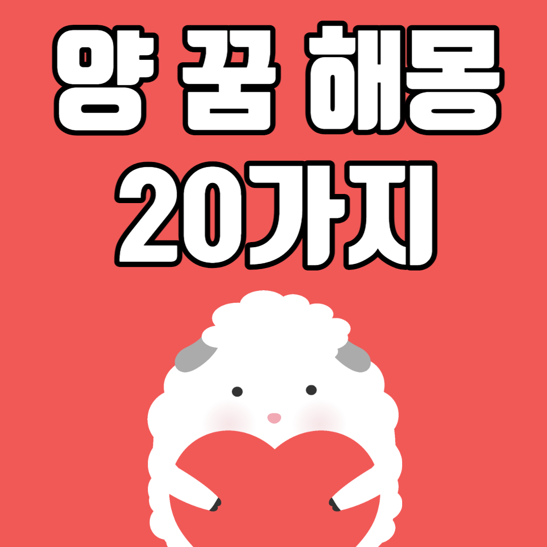  양 꿈 해몽 20가지 뜻 풀이