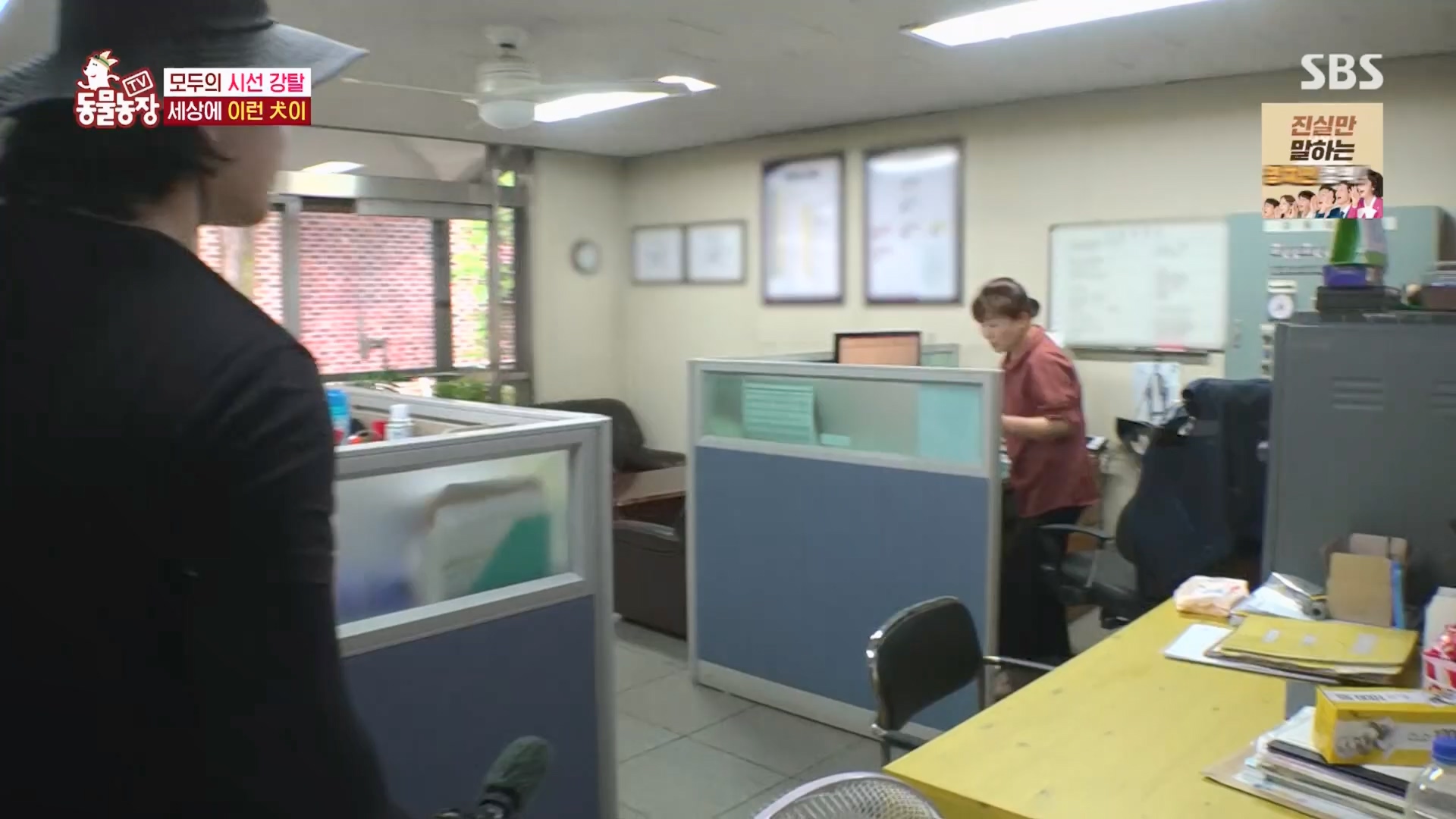 TV 동물농장.E1139.230924p.H264-F1RST.mp4_20230924_172322.178.jpg