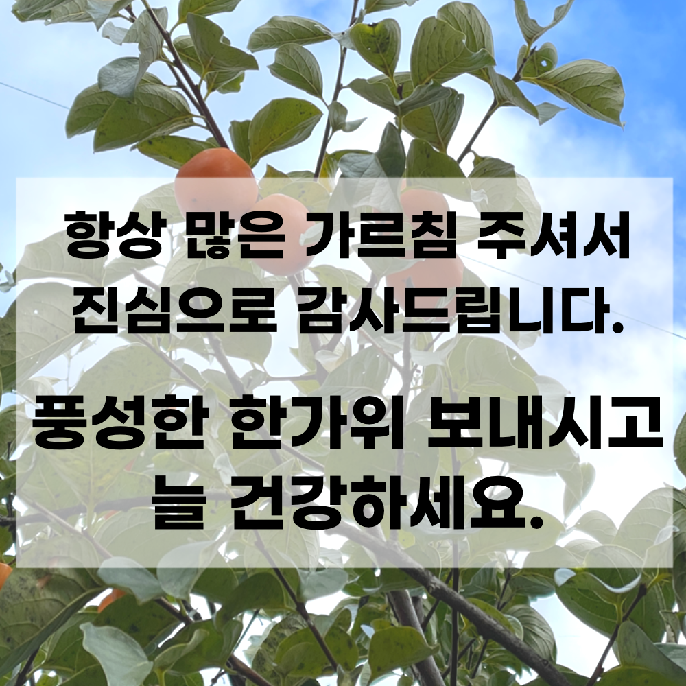 상사 동료 직장 회사 추석 인사말