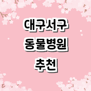 대구 서구 동물병원