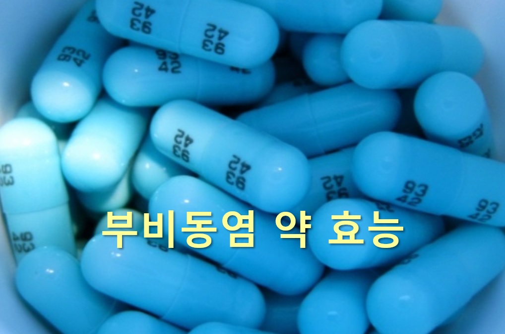  부비동염 약 효능과 부비동염 두통 어지러움증