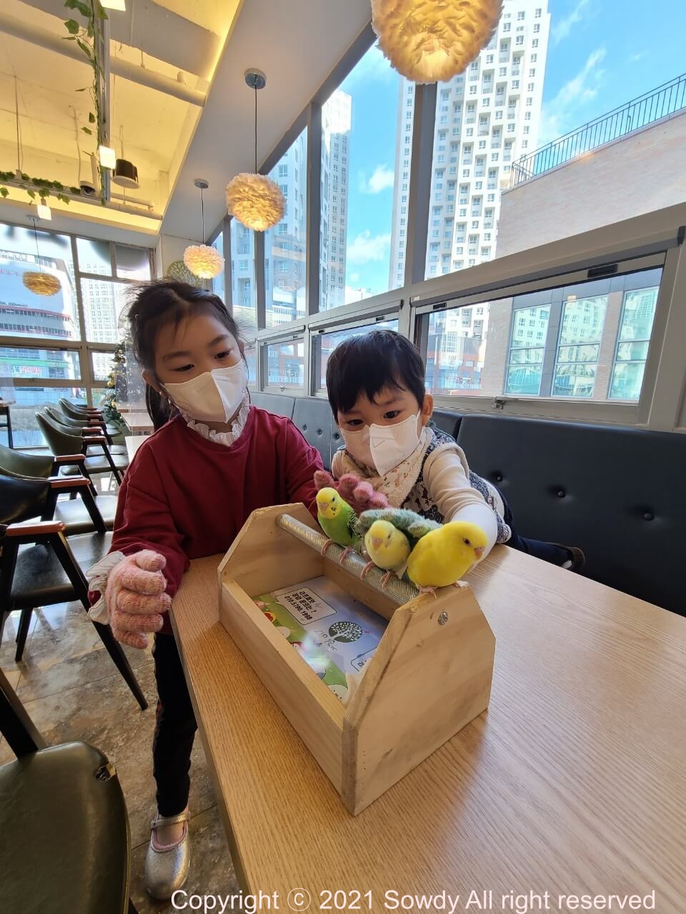 리프패럿에서 1호와 2호가 앵무새체험을 하는 사진