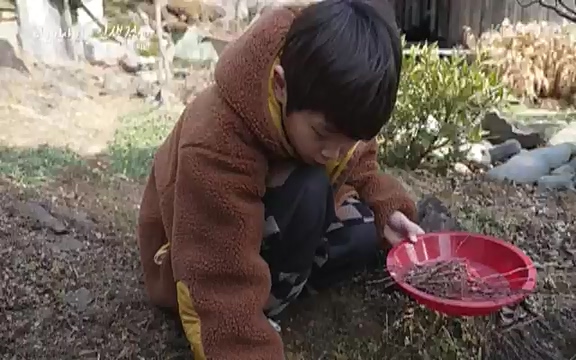 다큐 인사이트 - KBS인생정원 - 붉은 매화가 피면] 봄이면 가장 먼저, 그리고 가장 붉게 피어나는 강인한 소성의 매화.ts_20220818_205156.108.jpg