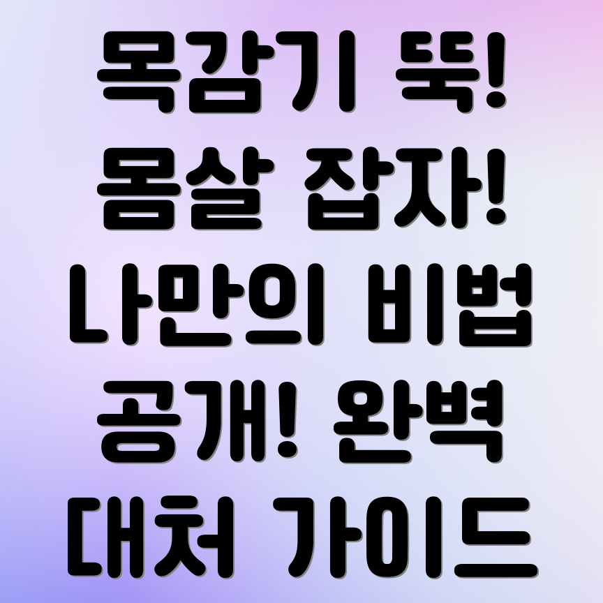 목감기 몸살