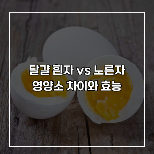 달걀 흰자 vs 노른자, 영양소 차이와 효능