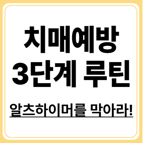 지금 시작하는 알츠하이머병 예방 루틴 , 식단·운동·뇌 자극 3가지 핵심