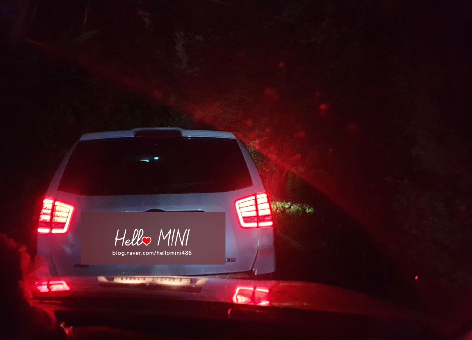 그냥 악에서 구해 주세요.[충청남도 천안 성남면] 천안 자동차 극장 - 9