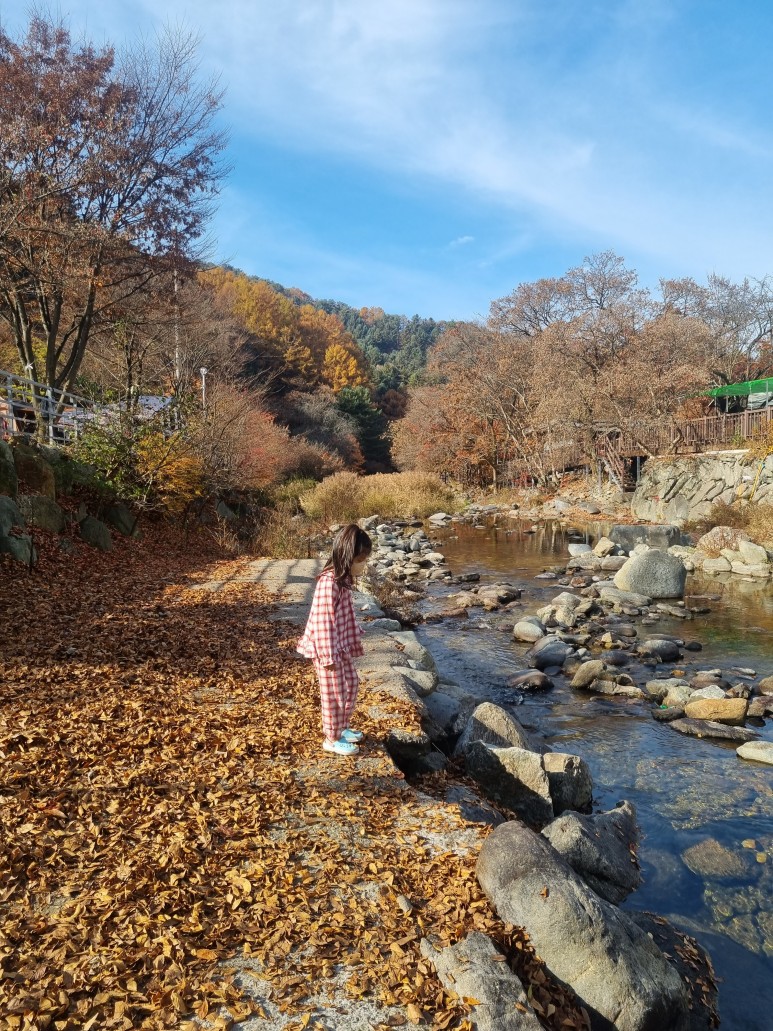 아이들과캠핑 13