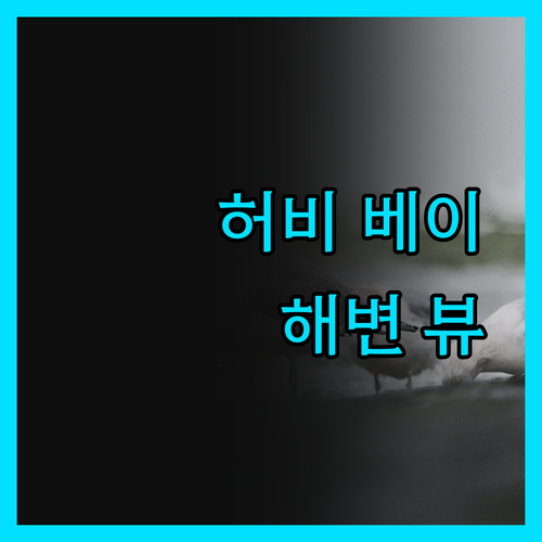 허비 베이 라마다, 환상적인 해변 뷰