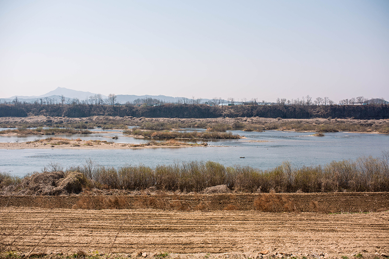 강 가운데 모래톱이 드러난 임진강의 풍경. 사진의 가까운 물가는 밭으로 사용 중.