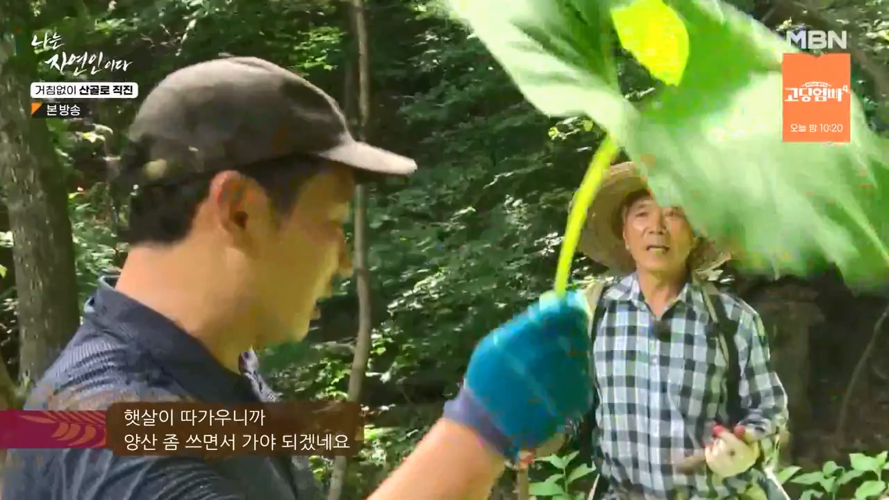 나는 자연인이다.E564.230727p-NEXT.mp4_20230727_211928.829.jpg