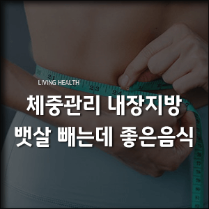  체중관리 내장지방 뱃살 빼는데 좋은 음식