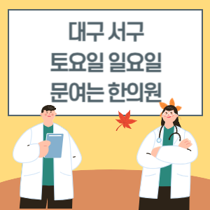 대구 서구 토요일 일요일 한의원 진료 병원 리스트