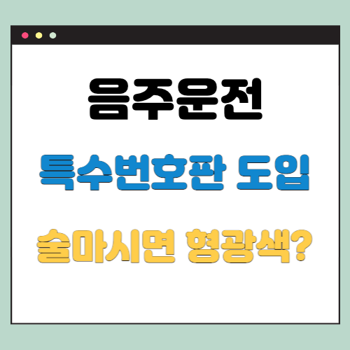  음주운전 번호판 (특수번호판 도입)