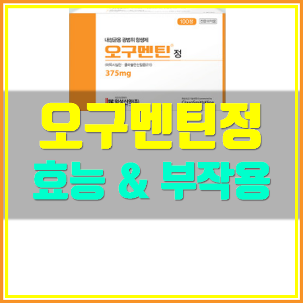  오구멘틴정 의약품 정보