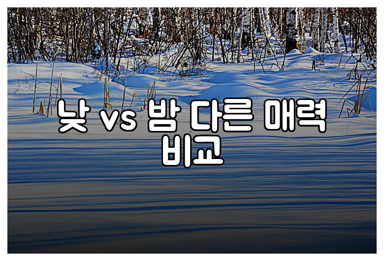 낮 vs 밤 다른 매력 비교