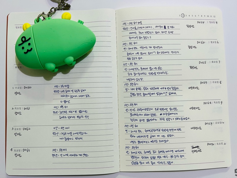  초기 이유식 첫 열흘 후기( D+160~D+169 )