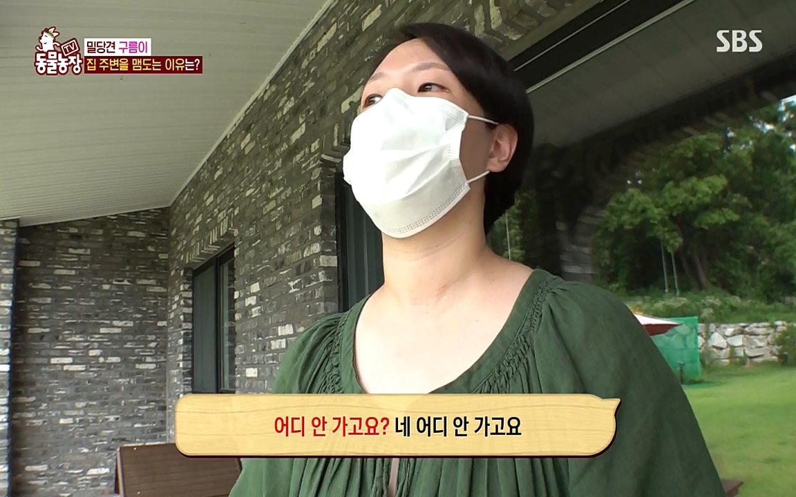 TV 동물농장.E1080.220732p-NEXT.mp4_20220731_174243.869.jpg