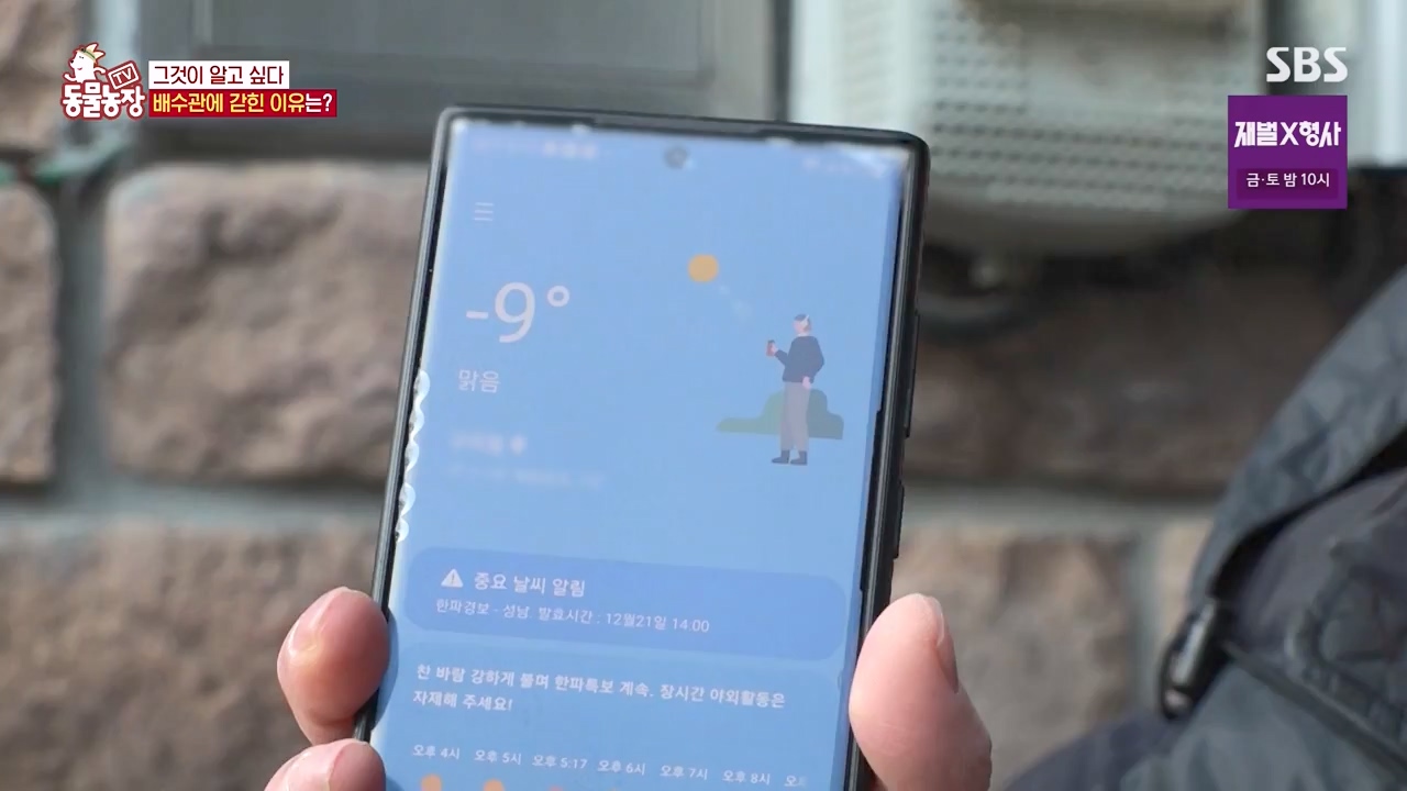 TV 동물농장.E1156.240129p-NEXT.mp4_20240128_191743.959.jpg