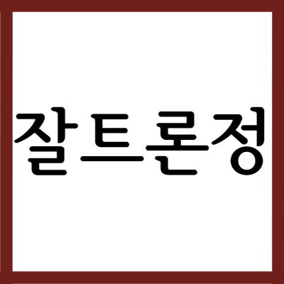  소염진통제 잘트론정, 효능과 주의사항 자세히 알아보기
