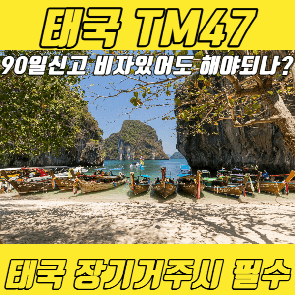 TM47-90일신고-알아보기