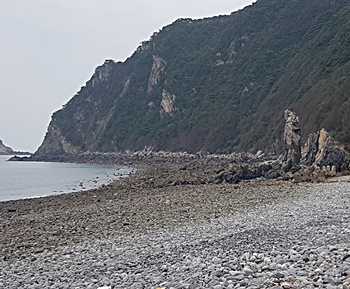 국내-수소-연료-전지-발전소