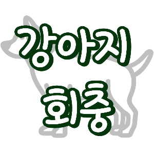 강아지 회충