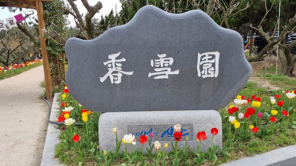 홍매원 이미지