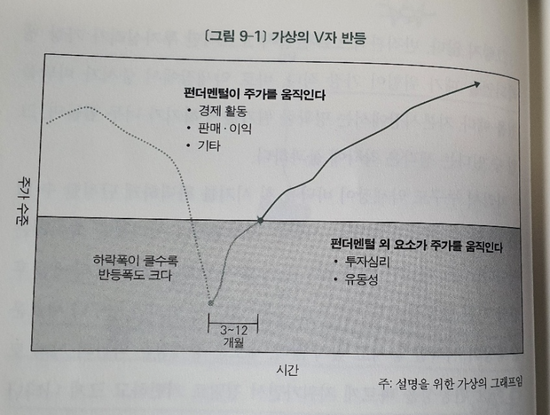 투자의 배신