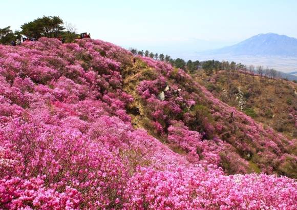 고려산