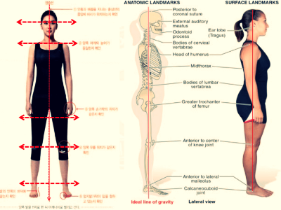 자세별-어깨기준