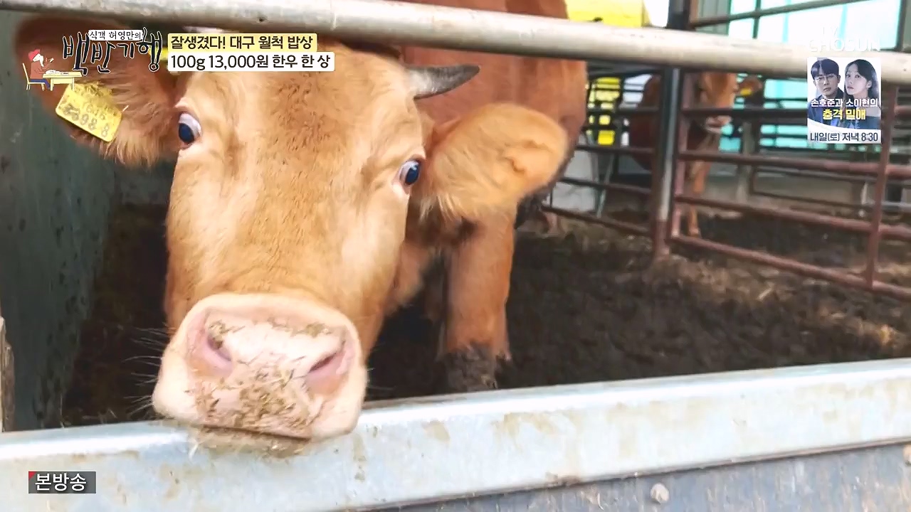 식객 허영만의 백반기행.E229.240106p-NEXT.mp4_20240106_165457.507.jpg