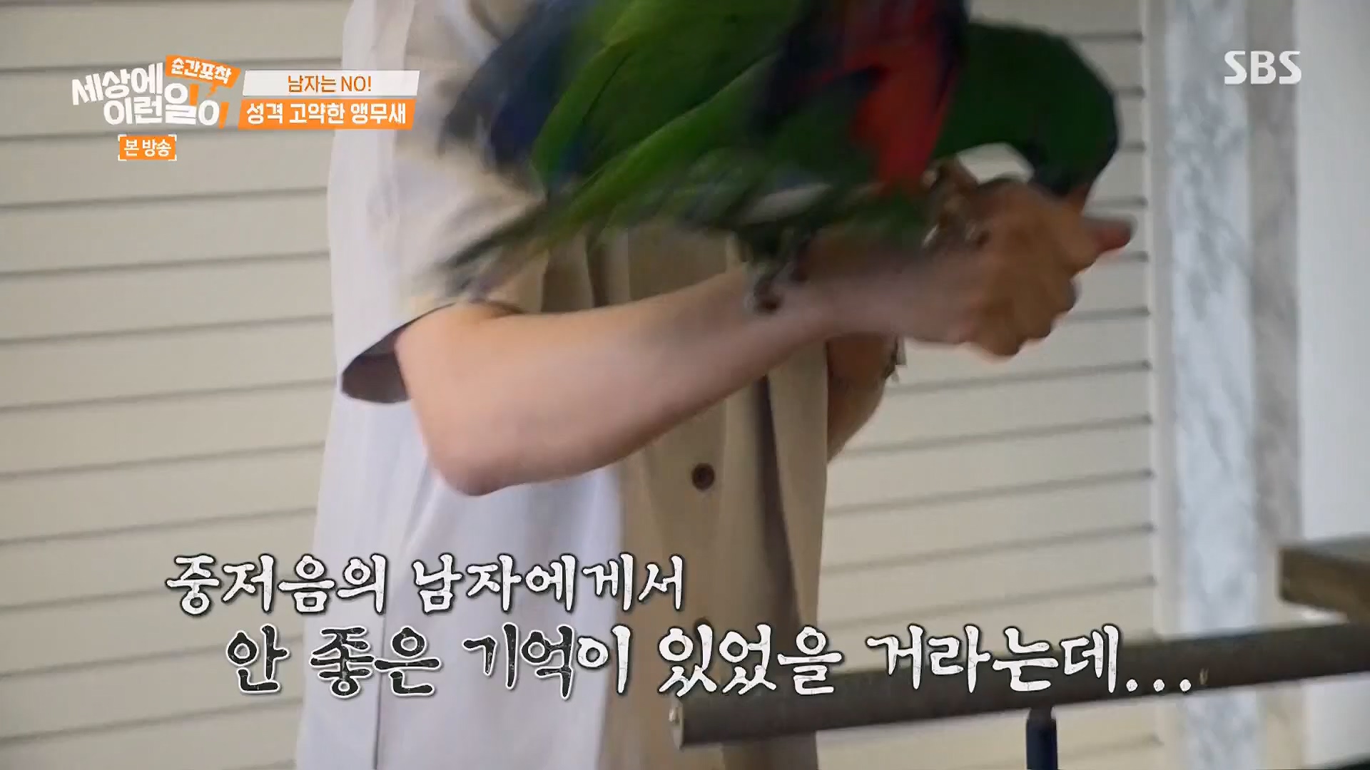순간포착 세상에 이런일이.E1246.230916p.H264-F1RST.mp4_20230917_171124.648.jpg