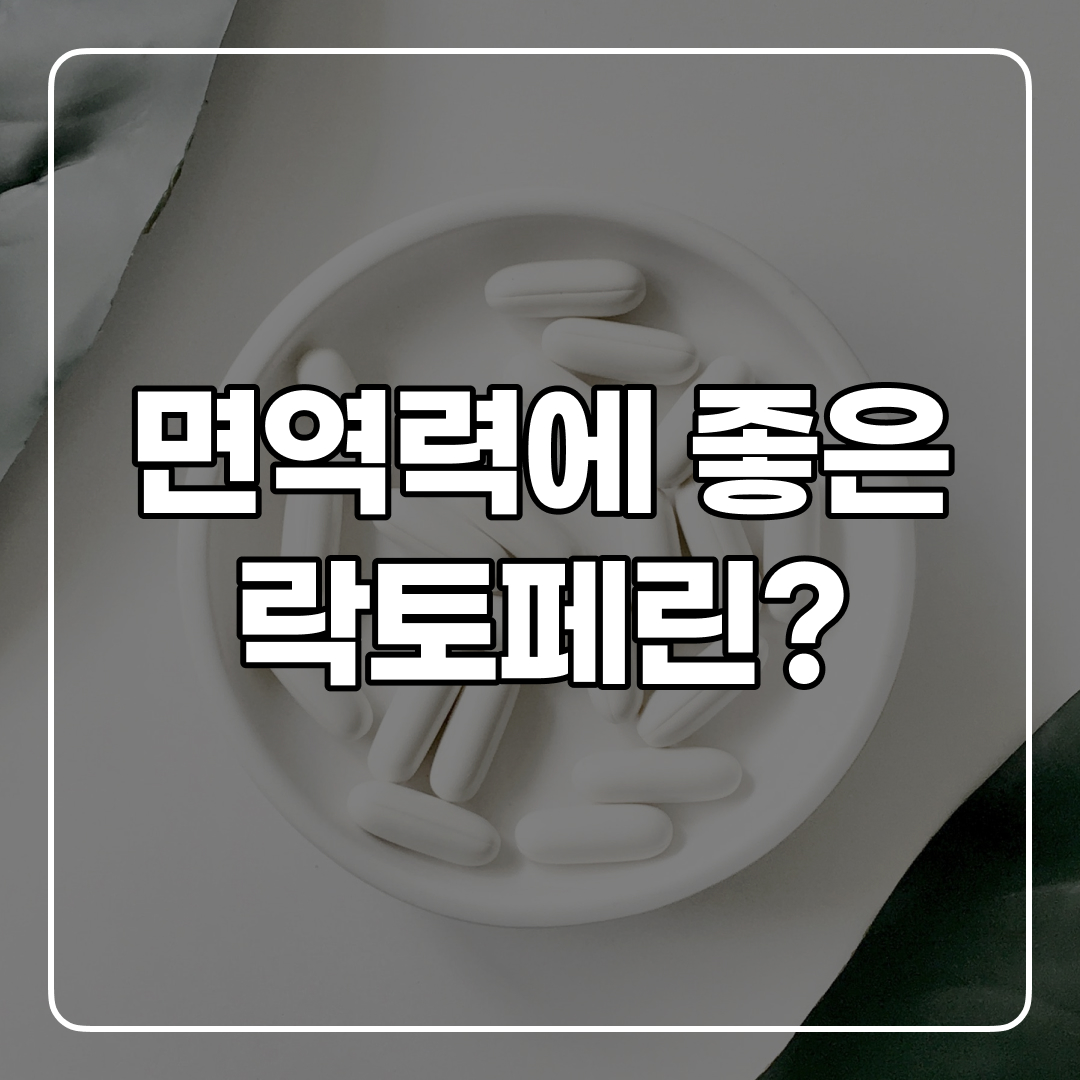  면역력에 좋다는 락토페린 추천!(효능+부작용)